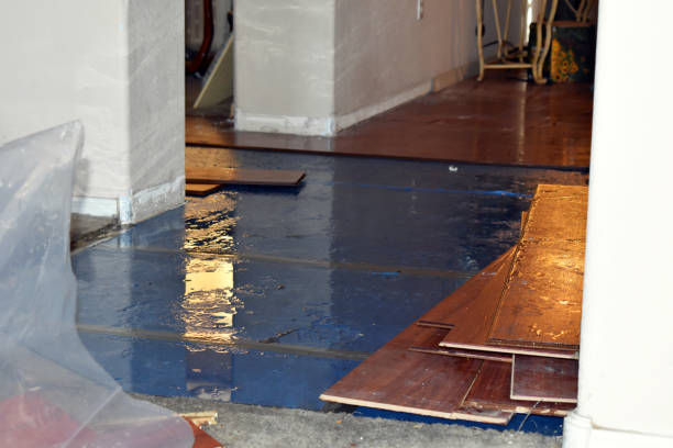 Professional Basement Flood Cleanup technician working in Congress, AZ